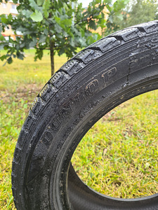 Dunlop Graspic DS2 205/55 r16 (6 мм)