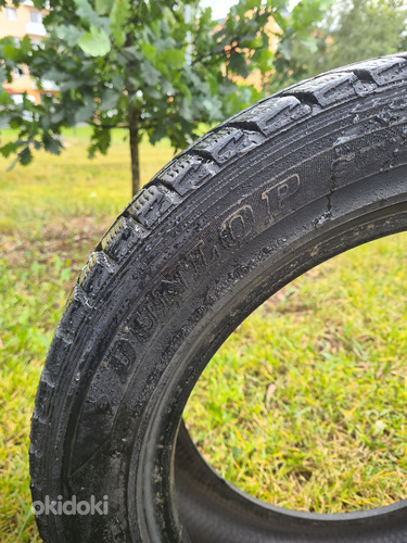 Dunlop Graspic DS2 205/55 r16 (6mm)