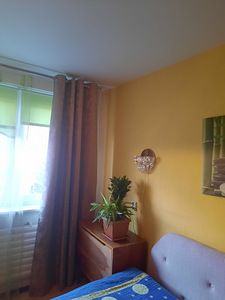Üürile anda 1-toaline korter. Üldpind 41m2 (11 foto / 12)