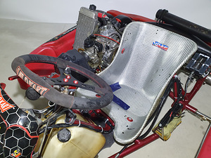 Kart Wildkart DD2 (2 foto / 10)