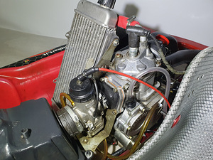 Kart Wildkart DD2 (3 foto / 10)