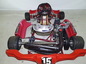 Kart Wildkart DD2 (6 foto / 10)