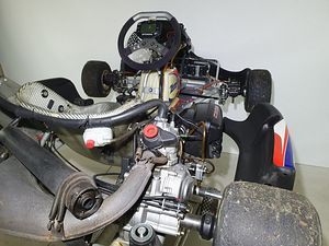 Kart Zanardi Rotax DD2 (10 foto / 10)