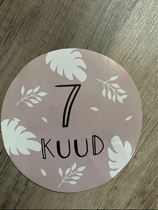 Beebi pildistamiseks kaardid (1-12 kuud) (3 foto / 3)