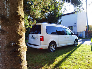 Vw 7 мест (11 фото из 15)