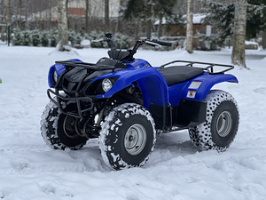 Yamaha Grizzly 125 (2 foto / 9)