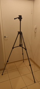 Statiivid (7 foto / 10)
