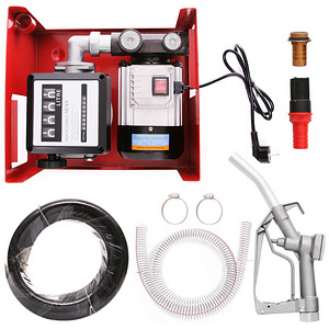 Diislikütuse pump koos lugejaga 60L / min 220V (2 foto / 7)