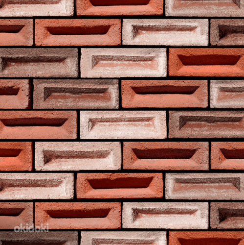 Tartu Flamisch-bunt brick/tellis 240x75x71 (foto #1)