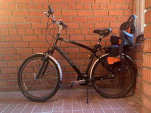 Trek Navigator 3.0 koos lapseistega (1 foto / 2)
