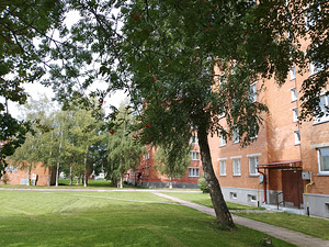 Sinivoore tn 13, Järve, Kohtla-Järve, Ida-Virumaa (17 foto / 20)