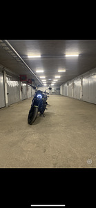 Benelli Leoncino 250 (6 foto / 6)