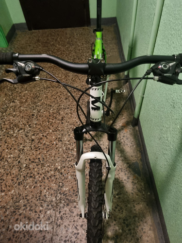 Cross Apolon Disc 24 käiku amort kuni 175 cm