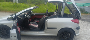 Vahetus Peugeot 206cc (7 foto / 10)