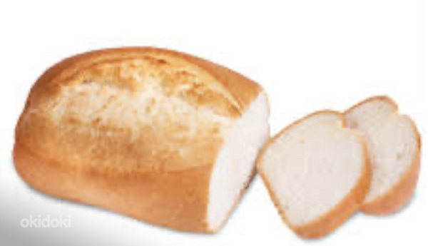 Tööd otsimas