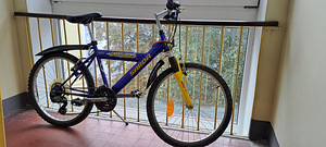 SHARK SARDA /SHIMANO 21 SPEED (3 foto / 3)
