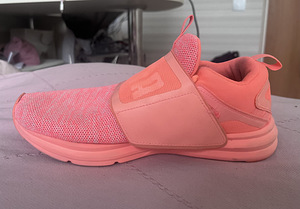 Puma sporditossud (5 foto / 6)