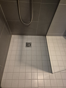 Pakun korterite, majade, büroode koristust. (2 foto / 10)