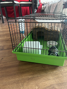 Müüa musta ja rohelise puuri ja kõik mis fotol (7 foto / 9)