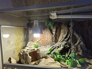 Suur terrarium (1 foto / 4)