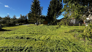 Pääsukese AÜ, Kibuna, Saue vald, Harjumaa (15 фото из 16)