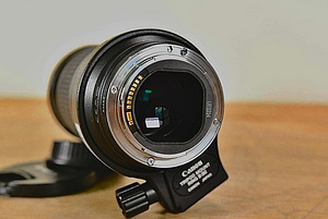 Canon EF 180mm f/3.5 L Macro USM (5 foto / 5)