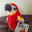 Говорящий игрушечный попугай-пират (фото #1)
