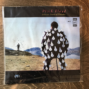PINK Floyd - Delicate Sound Of Thunder n1, LP (1 foto / 2)
