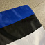 Eesti lipp (foto #3)