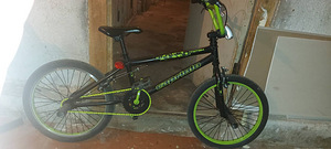 Capriolo Totem 20" Green 18 (1 foto / 2)
