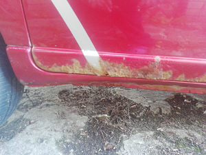 Berlingo 2005 (7 foto / 10)
