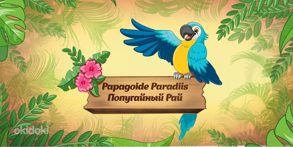 Kinkekaart (30-50-100 euro) "Papagoide Paradiis" (foto #8)