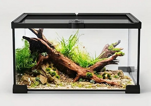Terārijs (1 foto no 5)