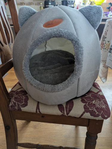 Кошачья лежанка