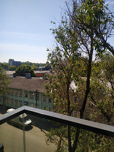 Lastekodu tn 31, Kesklinna, Tallinn, Harjumaa (6 фото из 12)