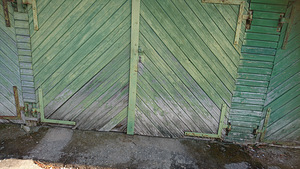 Plekksepp (2 foto / 2)