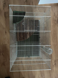Puur Degu Tšintšilja 58x38x55cm (5 foto / 5)