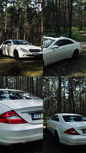 CLS 320 W219 (3 foto / 6)