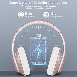 Bluetooth kõrvaklapid FM-raadioga (10 foto / 10)