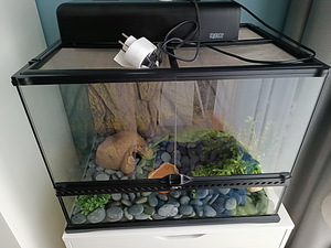 Terrarium (1 foto / 1)