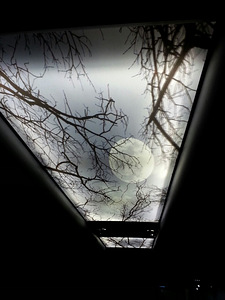 Pinglaed (5 foto / 5)