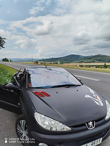 Peugeot 206cc (7 foto / 7)