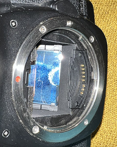 Canon 5D Mark II (9 foto / 9)