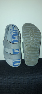 ECCO 27 (3 foto / 3)