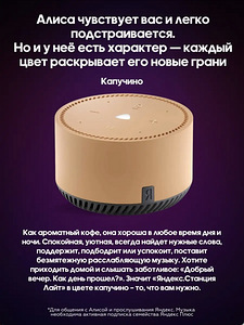 Yandex Lite nutikõlar koos Alice'iga (9 foto / 10)