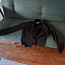 Calvin Klein - Kerge Jope/ Легкая куртка (фото #1)