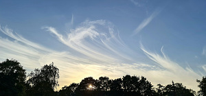 Ищу работу или подработку (1 фото из 1)
