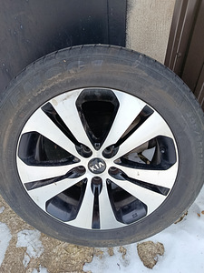 Valatud velgede komplekt R18 Kia Sportage'ile suverehvidega (3 foto / 10)