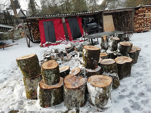 Tammepakud (3 foto / 3)