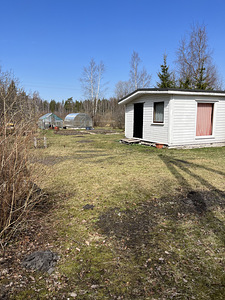 Toonekure AÜ, Kibuna, Saue vald, Harjumaa (3 фото из 7)
